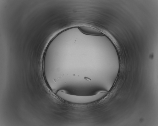 X0000096991004200803071049