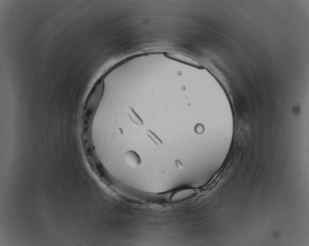 X0000096991005200803071049