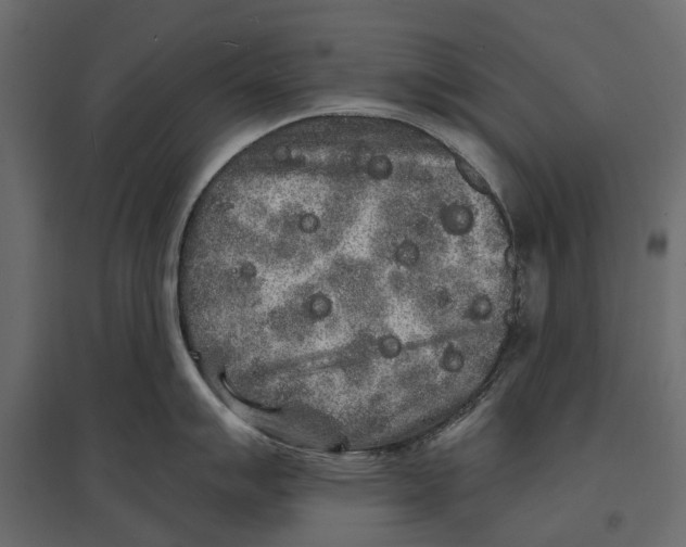 X0000096991007200803071049