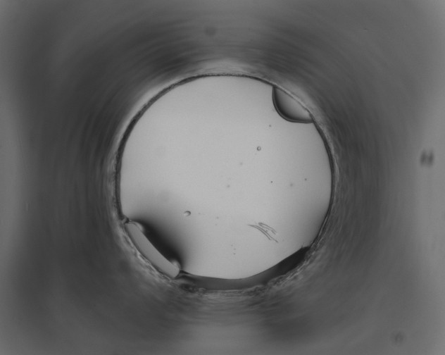 X0000096991008200803071049