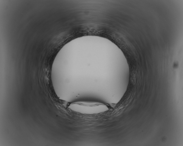 X0000096991010200803071048