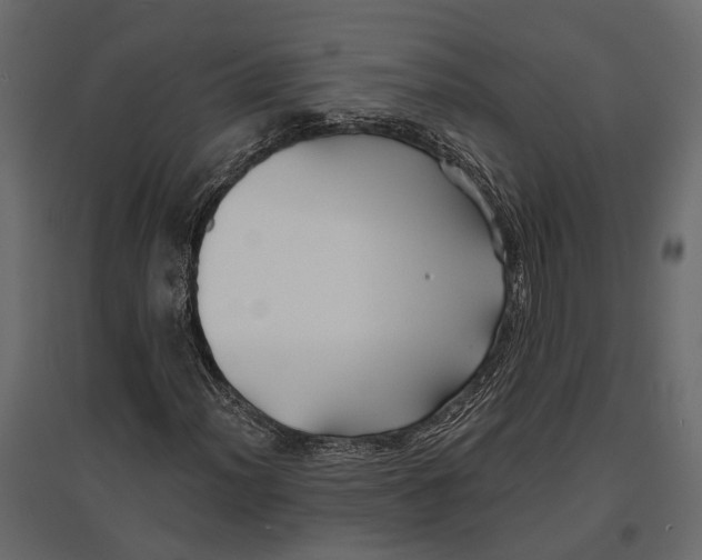 X0000096991012200803071048