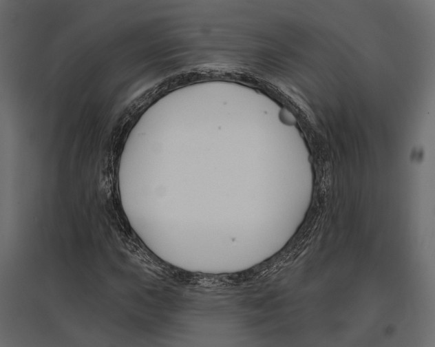 X0000096991015200803071048