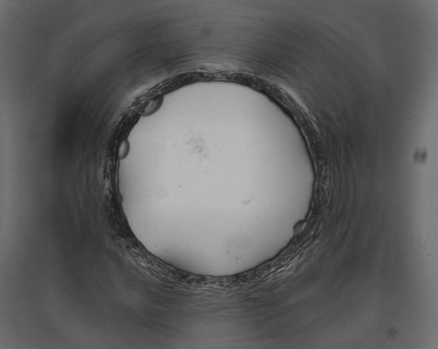 X0000096991016200803071048