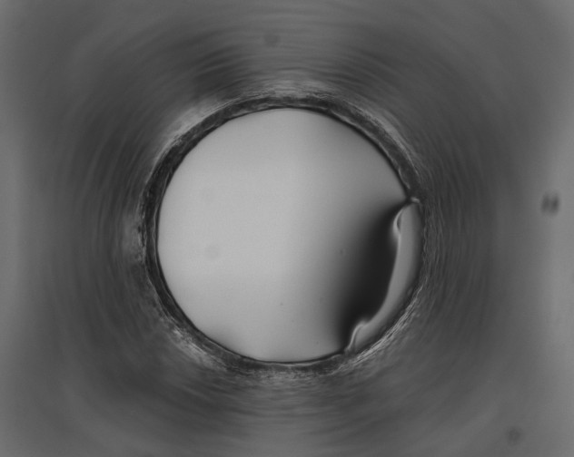 X0000096991018200803071048