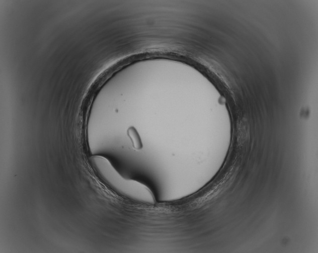 X0000096991021200803071048