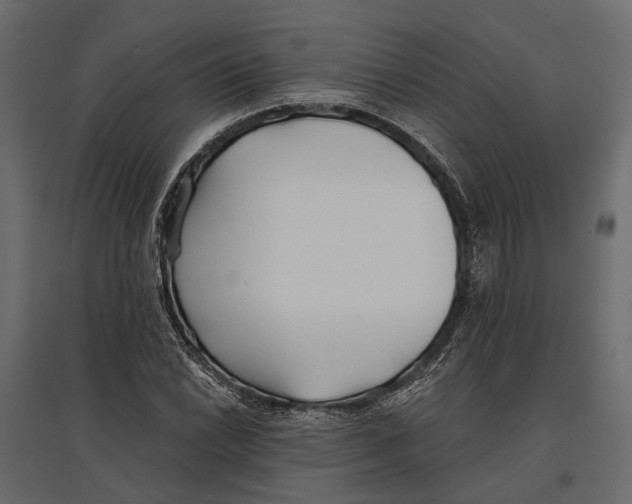 X0000096991022200803071048