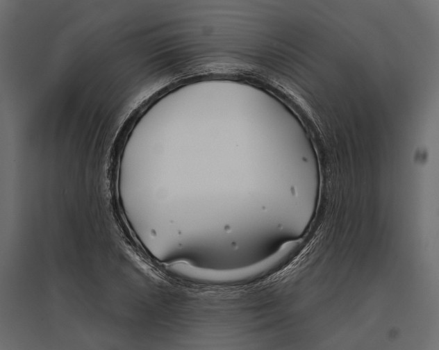 X0000096991026200803071048