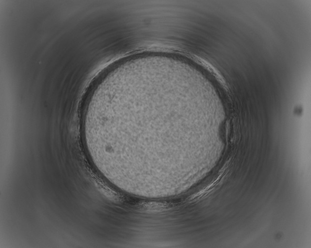 X0000096991027200803071048