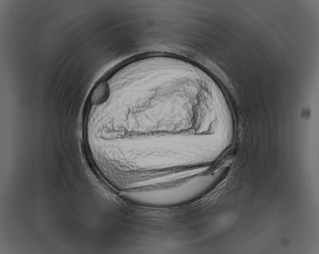 X0000096991028200803071048