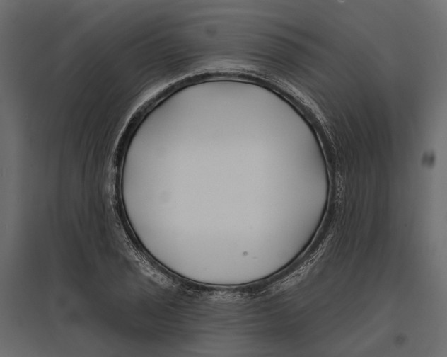 X0000096991029200803071048