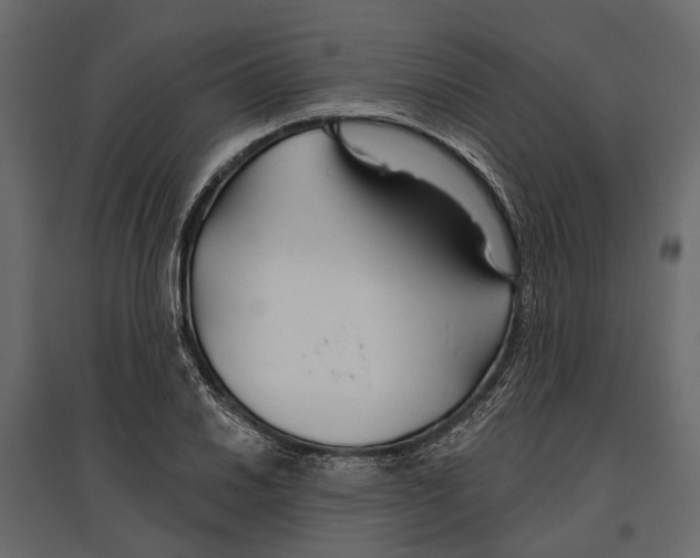 X0000096991030200803071048