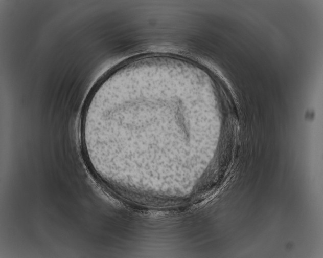 X0000096991032200803071048