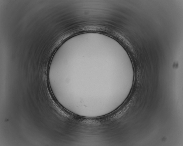 X0000096991033200803071048