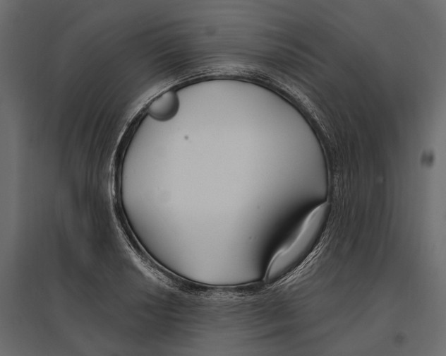 X0000096991034200803071048