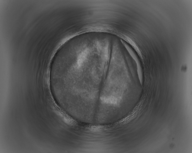 X0000096991035200803071048