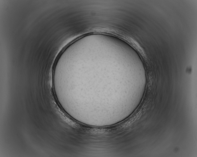 X0000096991036200803071048