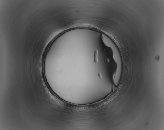 X0000096991038200803071048