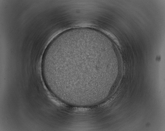 X0000096991039200803071048