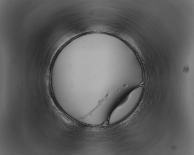 X0000096991040200803071049