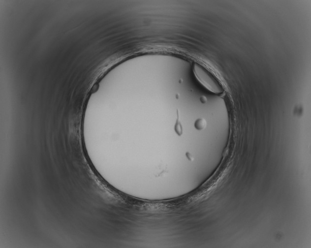 X0000096991041200803071049