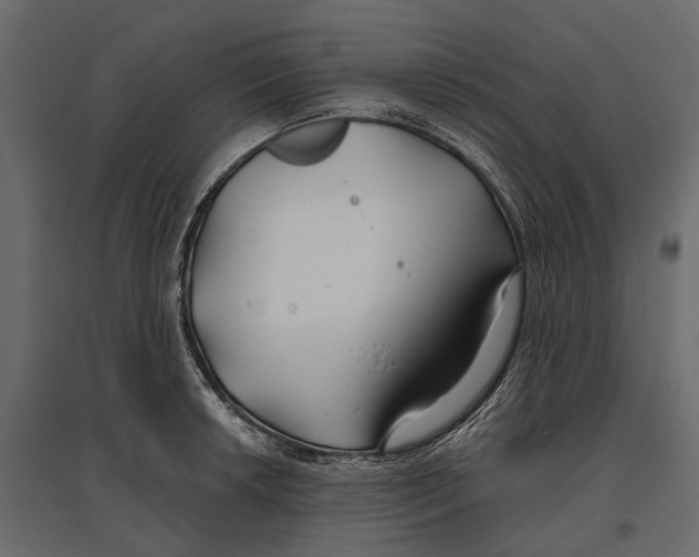 X0000096991042200803071049