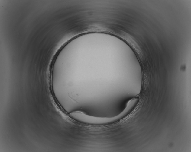 X0000096991046200803071049