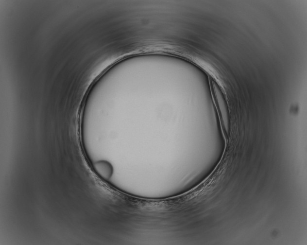 X0000096991047200803071049