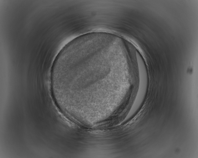 X0000096991048200803071049