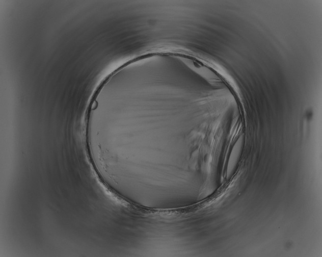 X0000096991053200803071049