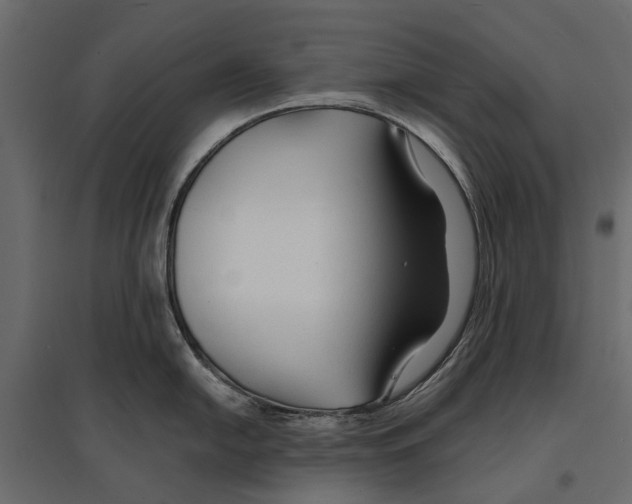 X0000096991054200803071049