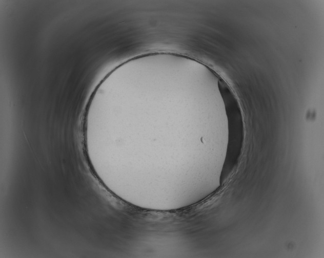 X0000096991056200803071049