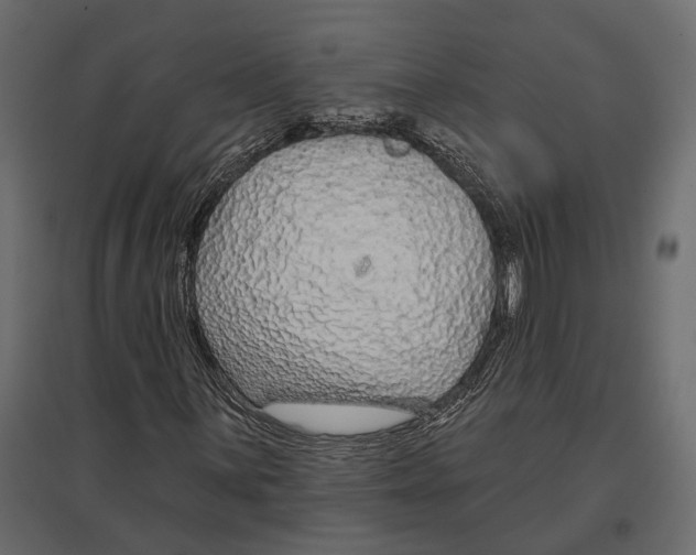 X0000096991059200803071048