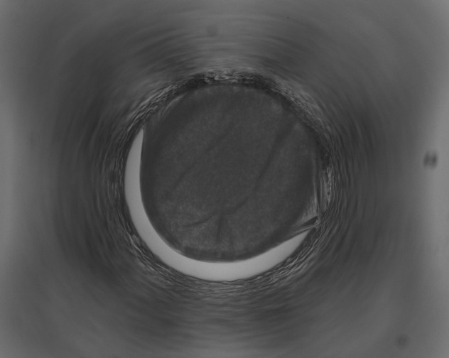 X0000096991060200803071048