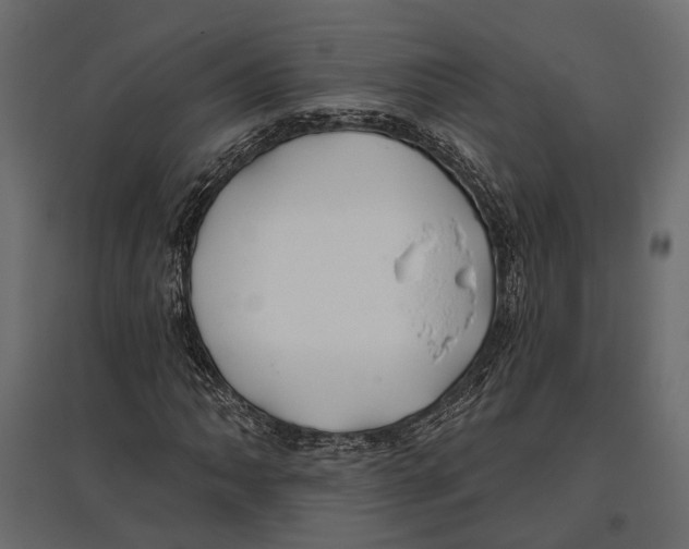 X0000096991062200803071048