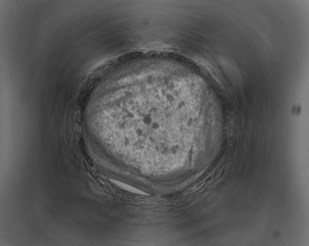 X0000096991063200803071048