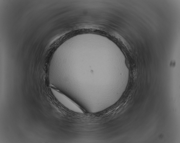 X0000096991064200803071048