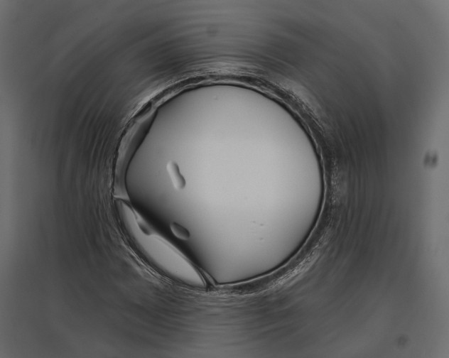 X0000096991065200803071048