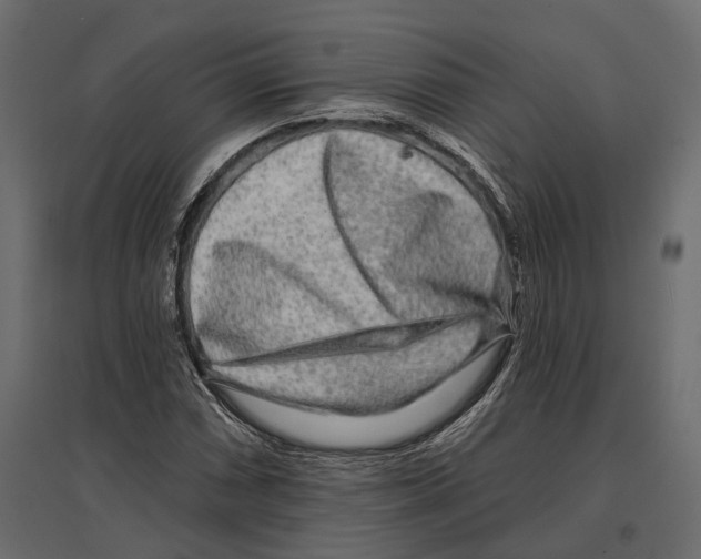 X0000096991066200803071048