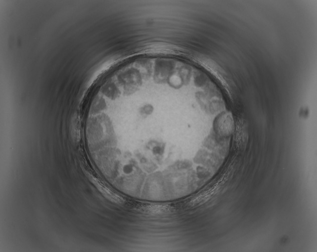 X0000096991067200803071048