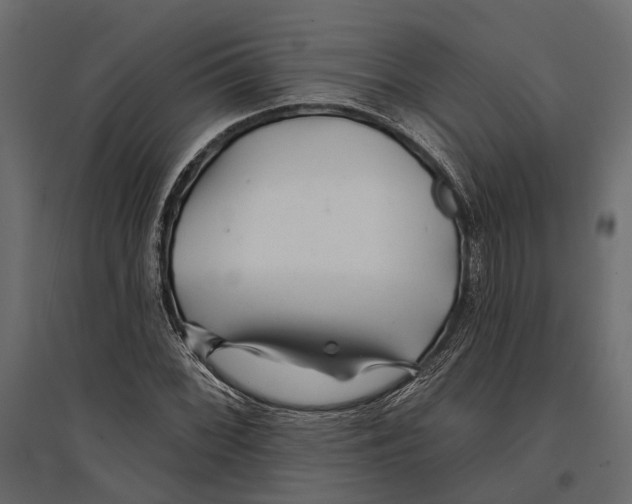 X0000096991068200803071048