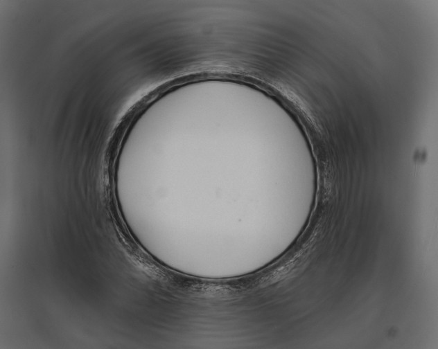 X0000096991070200803071048