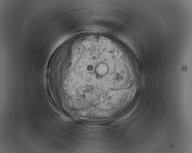 X0000096991071200803071048