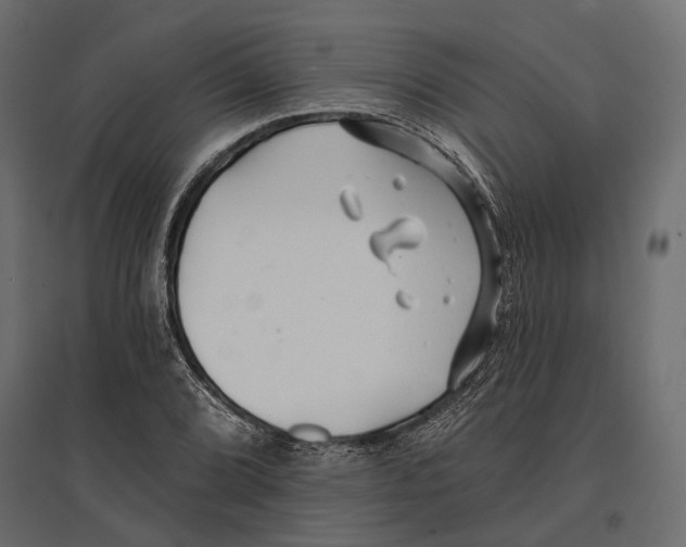 X0000096991072200803071048