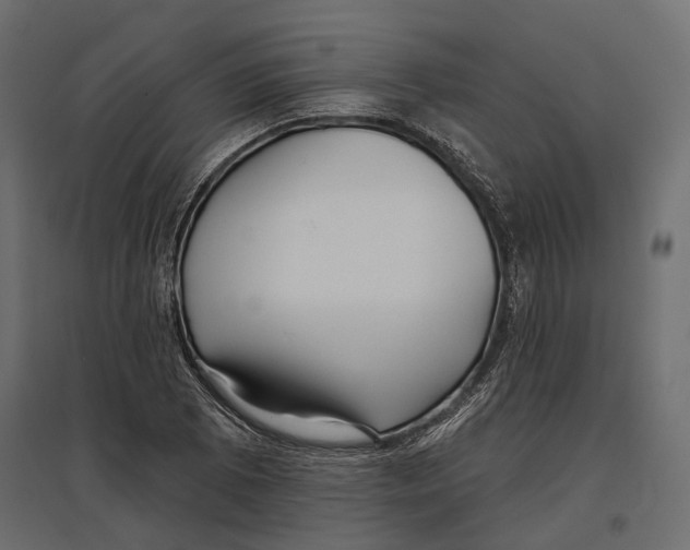 X0000096991073200803071048