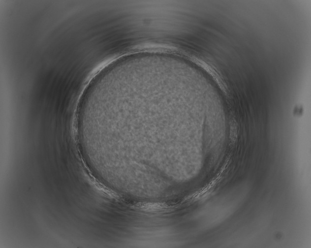 X0000096991074200803071048