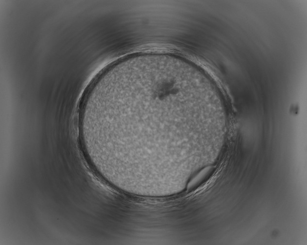 X0000096991075200803071048