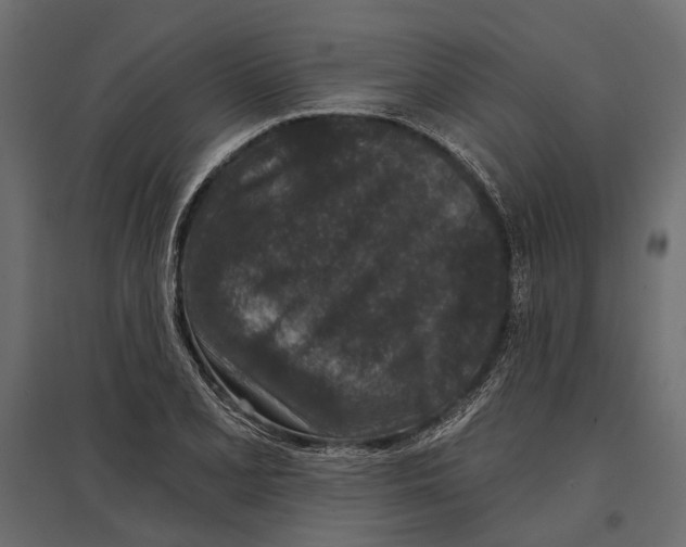 X0000096991077200803071048