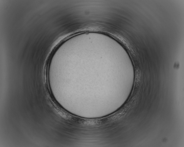 X0000096991078200803071048