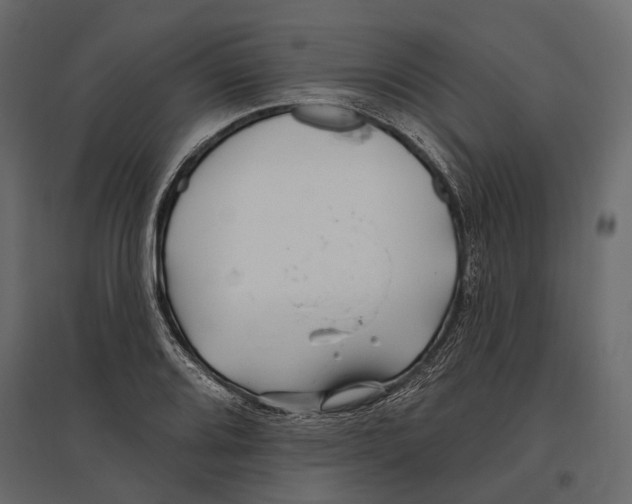 X0000096991080200803071048